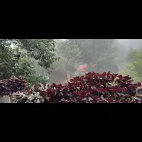 اجاره ویلا در حیران|اجارهٔ کوتاهمدت ویلا و باغ|اردبیل, |دیوار