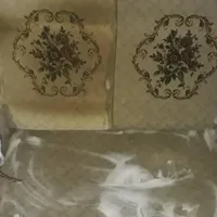شست‌وشوی مبل،تشک ،موکت،لکه فرش با دستگاه اتوماتیک|خدمات نظافت|دوگنبدان, |دیوار