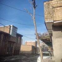 هرس خرید چوب قطع و بریدن درخت سمپاشی،چمن و علف زنی|خدمات باغبانی و درختکاری|کرمانشاه, |دیوار