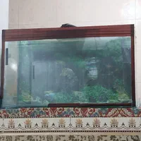 اکواریوم