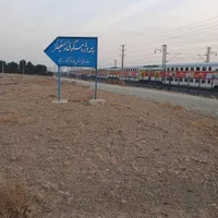 زمین سند تک برگ هلجرد