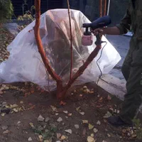 باغبانی لواسان ،فشم،پردیس،رودهن،دماوند|خدمات باغبانی و درختکاری|پردیس, |دیوار