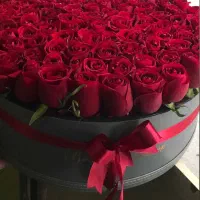 گل آرایی|گل و گیاه طبیعی|مشهد, شهرک امام هادی (شهرک غرب)|دیوار