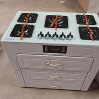 اجاق گاز کابینت دار طرح دار