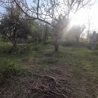 زمینی مسکونی در روستای شالما و روستای گنجار|فروش زمین و ملک کلنگی|احمدسرگوراب, |دیوار