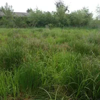 زمین تجاری اداری ۱۳۰۰ متر سنگر بعداز دانشگاه ۳۶۶۷