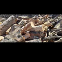 خریدار چوب|خدمات باغبانی و درختکاری|سنندج, |دیوار