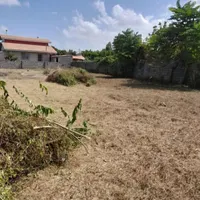 علف زنی. سمپاشی. هرس.کاشت.نگهداری