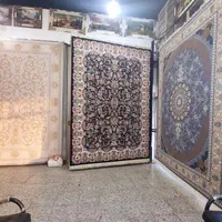 فرش ستاره در رشت|فرش|رشت, باهنر|دیوار