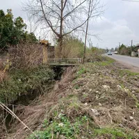 فروش یک قطعه زمین برای سرمایه گذاری|فروش زمین و ملک کلنگی|لشت نشا, |دیوار