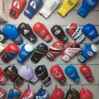 دستکش بوکس|تجهیزات ورزشی|کرج, خرمدشت|دیوار