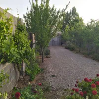 فروش زمین ۲۴۰ متری واقع در شهر تل خسرو کوچه سرو|فروش زمین و ملک کلنگی|یاسوج, |دیوار