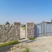 زمین شتر مرغ گاوداری گلخانه سوارکاری باغ پاکدشت|فروش دفتر صنعتی، کشاورزی، تجاری|پاکدشت, |دیوار