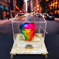 باکس گل رز جاویدان پایه سنگی در طرح های دلخواه|گل و گیاه طبیعی|تهران, میدان ولیعصر|دیوار
