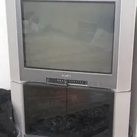 تلویزون