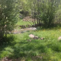 باغ تفریحی آوینا  واقع در روستای زیبای دلخان|اجارهٔ کوتاه‌مدت ویلا و باغ|شیراز, گویم|دیوار