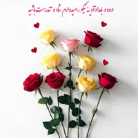 کالا برگ دارم میفروشم