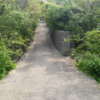 فروش باغچه