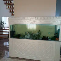آکواریوم سایز
