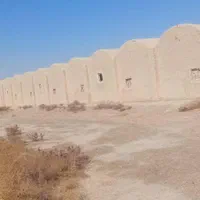 فروش یا اجاره سوله مرغداری|فروش دفتر صنعتی، کشاورزی، تجاری|زابل, |دیوار