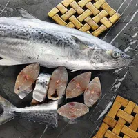 ماهی جنوب صید روز