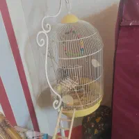 قفس ایستاده بزرگ و شیک