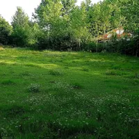 ۳۲۰۰ متر زمین مسکونی / یک بنای مسکونی / سند تک برگ