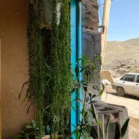 اجاره روزانه/هفتگی/ماهانه آپارتمان ۲۳۰ متری|اجارهٔ کوتاه‌مدت آپارتمان و سوئیت|طرقبه, |دیوار
