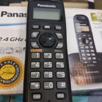 پاناسونیک