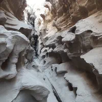 تور گشت جزیره قشم|تور و چارتر|قشم, |دیوار