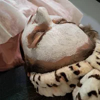 موخوره گیری رنگ مو ناخن کراتین واحیا فشیال اصلاح|خدمات آرایشگری و زیبایی|اصفهان, ستار|دیوار