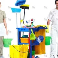 خدمات نظافت منزل وغیره