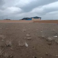 ۱۳۰۰ متر زمین سلولزی جنت آباد ایوانکی|فروش دفتر صنعتی، کشاورزی، تجاری|تهران, ازگل|دیوار