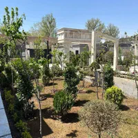 باغچه۸۰۰ کاربری دار/امکان اخذ مجوز/بر خیابان اصلی|فروش خانه و ویلا|محمدشهر, |دیوار