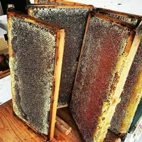 عسل گرده دار وحشی. درمانی قلعه بابک .سحراما|خوردنی و آشامیدنی|تبریز, |دیوار