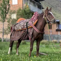 نریان سه ساله