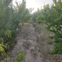 فروش خانه ویلایی ۱۰۰۰ متری ۱ خوابه جاده گوارشک|فروش خانه و ویلا|مشهد, توس (بلوار توس)|دیوار
