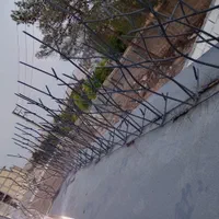 دزدگیر دیواری، بوته ای باغ باغشهر ویلا شاخ گوزنی|عمده‌فروشی|شیراز, شهرک بزین|دیوار