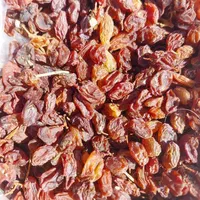 کشمش افتابی|عمده‌فروشی|قرچک, |دیوار