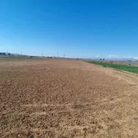 چهار هزار متر زمین باغی کشاورزی با سند و نقشه UTM|فروش دفتر صنعتی، کشاورزی، تجاری|کرج, محمود آباد|دیوار
