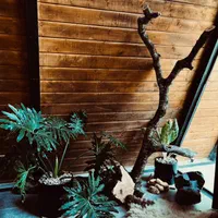 اجاره روزانه/هفتگی/ماهانه ویلا ۸۵ متری|اجارهٔ کوتاه‌مدت ویلا و باغ|ماسال, |دیوار