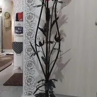 چراغ خواب وآباژور ۳شاخه