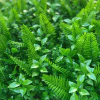 دیوار سبز گرین وال ( برگ ترکیبی )|گل مصنوعی|تهران, توحید|دیوار