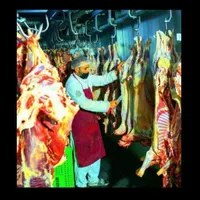 گوسفند تعاونی 100٪نصف گوشت به ضمانت سالم بودن|حیوانات مزرعه|مشهد, جانباز|دیوار