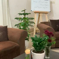 حسابداری.کامپیوتر.امور گمرکی.معرفی به کار|استخدام مالی، حسابداری، حقوقی|بوشهر, |دیوار