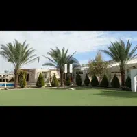نخل جزیره|خدمات باغبانی و درختکاری|تهران, نیاوران|دیوار