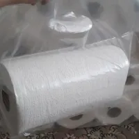 دستمال کاغذی|مواد شوینده و دستمال کاغذی|قم, سراجه (۱۵ خرداد)|دیوار