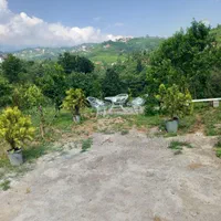 ویلا باغ دربست استخردار بدون واسطه|اجارهٔ کوتاه‌مدت ویلا و باغ|رامسر, |دیوار