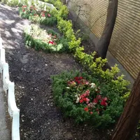 خدمات باغبانی هرسکاری گل کاری درتمام نقاط تهران و.|خدمات باغبانی و درختکاری|تهران, تهرانپارس شرقی|دیوار