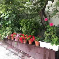 اجاره اتاق از آپارتمان مجهز با انباری|اجارهٔ آپارتمان|تهران, آرژانتین|دیوار